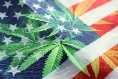 legalizzazione Queen Weed Premium Cannabis